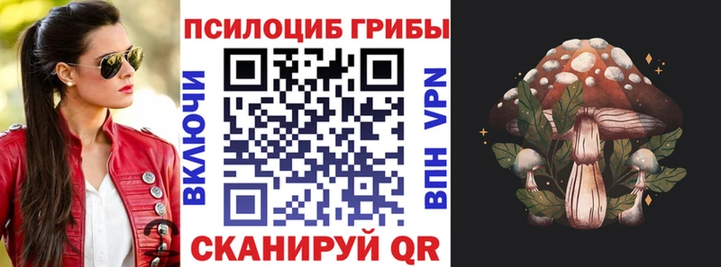 Купить Энем Галлюциногенные грибы прущие грибы